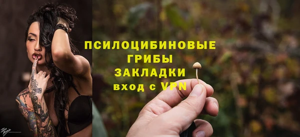 твердый Арсеньев