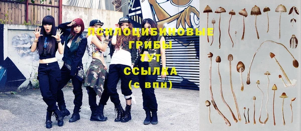 кокс Армянск