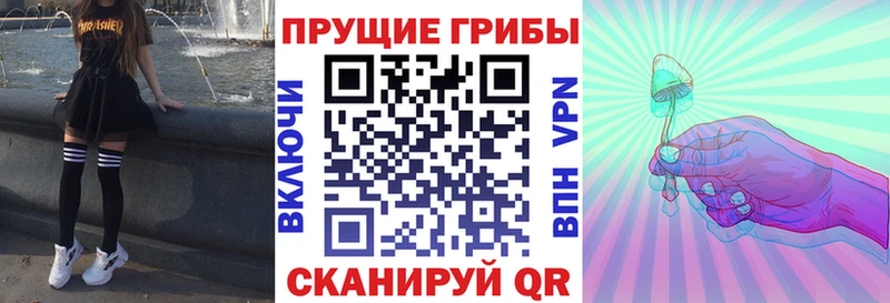 Галлюциногенные грибы Psilocybine cubensis  продажа наркотиков  Жуковка 